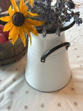 Country Core Enamel Jug White And Black